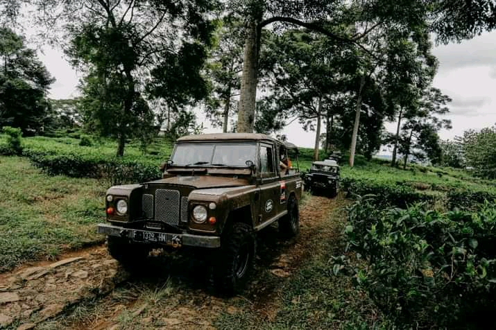 Jeep Citeko Puncak